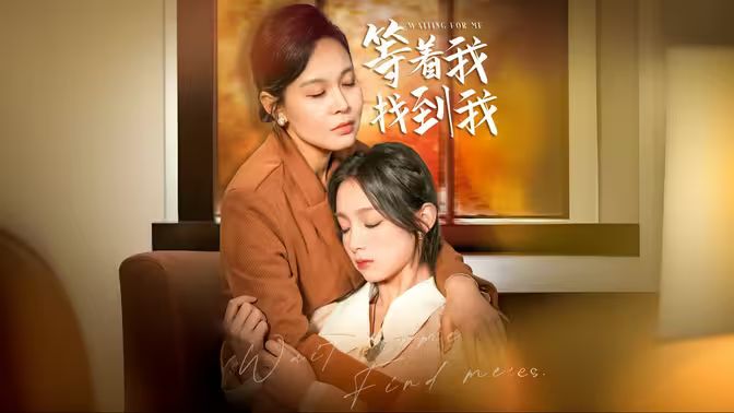 等著我，找到我(全集)