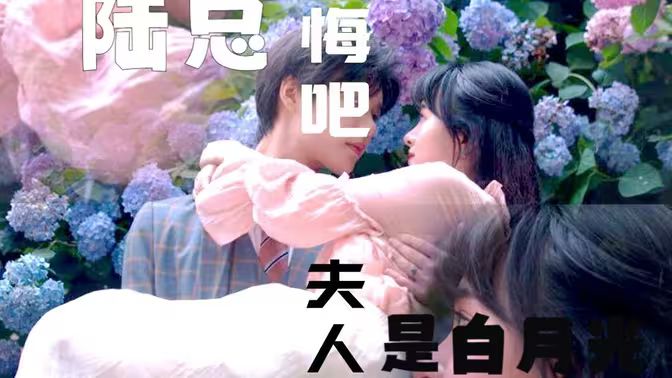 陸總懺悔吧，夫人才是白月光(全集)