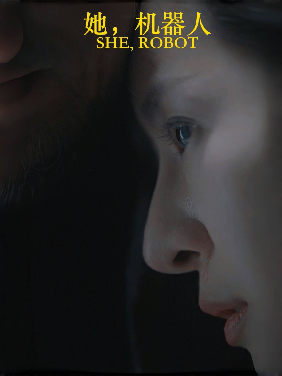 她，機器人（她機器人）(全集)