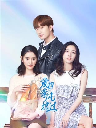 愛的季風掠過(全集)