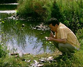 來福，來福