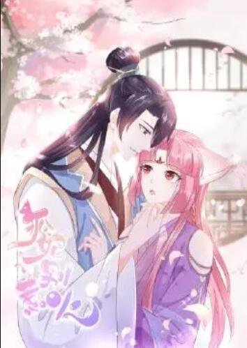 狐妃，別惹火