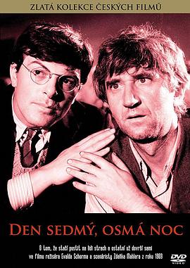 第七日，第八夜