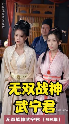 無(wú)雙戰(zhàn)神武寧君(全集)