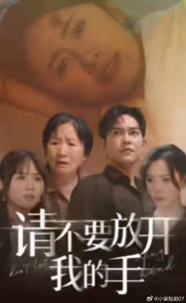 請(qǐng)不要放開(kāi)我的手(全集)