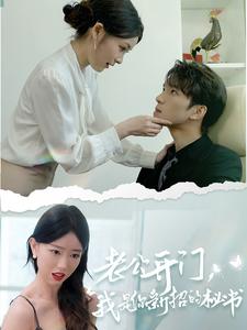 老公開門，我是你新招的秘書(全集)