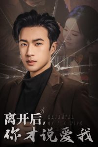 離開后你才說愛我(全集)