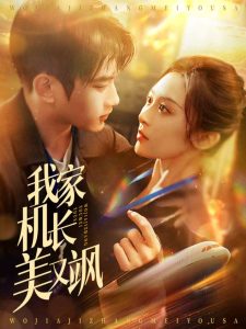 我家機(jī)長(zhǎng)美又颯(全集)