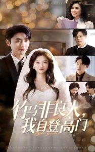 竹馬非良人，我自登高門(全集)