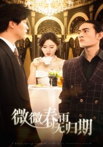 微微春雨無(wú)歸期(全集)