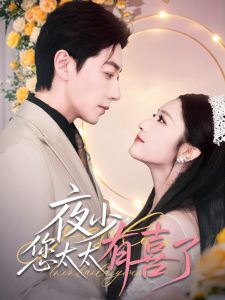 夜少，您太太有喜了(全集)
