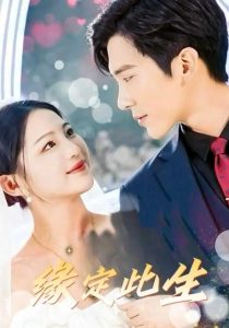 緣定此生(全集)