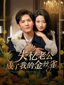 失憶老公成了我的金絲雀(全集)
