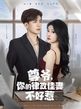 尊爺，你的律政嬌妻不好惹(全集)