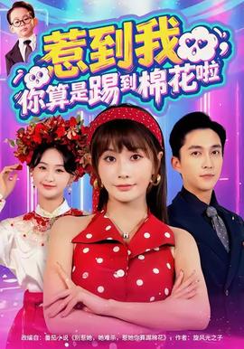 惹到我，你算是踢到棉花啦(全集)