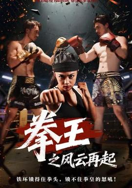 拳王之風云再起(全集)