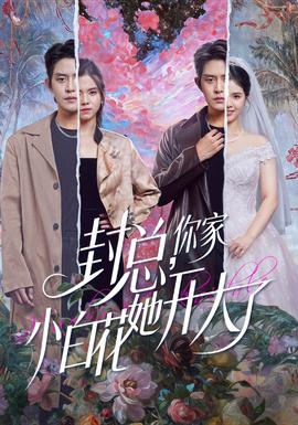 封總，你家小白花她開大了(全集)