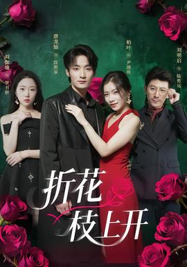 折花枝上開(kāi)(全集)