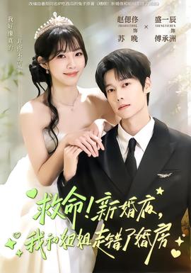 救命！新婚夜，我和姐姐走錯(cuò)了婚房(全集)