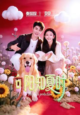 向陽(yáng)知夏時(shí)(全集)