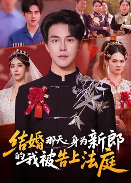 結(jié)婚那天，身為新郎的我被告上法庭(全集)