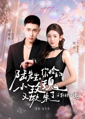 陸先生，你撿的小玫瑰又掀桌了之荊棘玫瑰(全集)